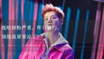 娱乐吃瓜 小故事视频播放,揭秘小故事视频背后的精彩瞬间