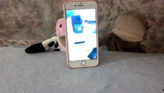 吃瓜妹娱乐的语音,揭秘娱乐圈幕后故事，带你领略明星真实生活